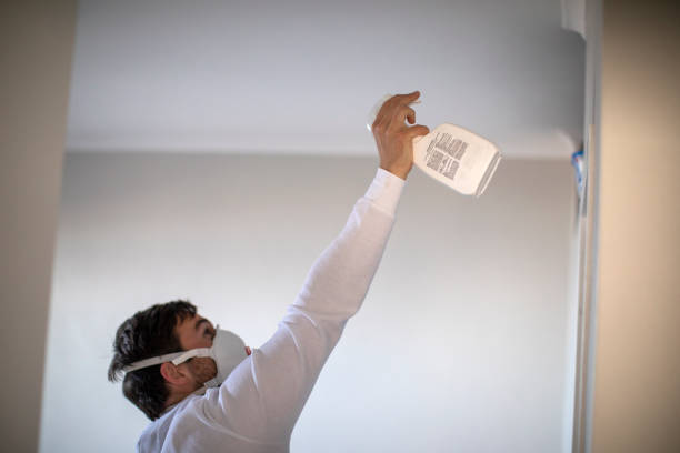Home Mold Removal in Montague, CA