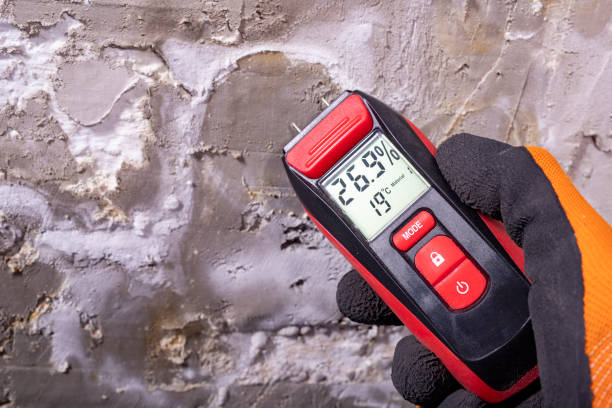 Best Home Mold Removal  in Montague, CA