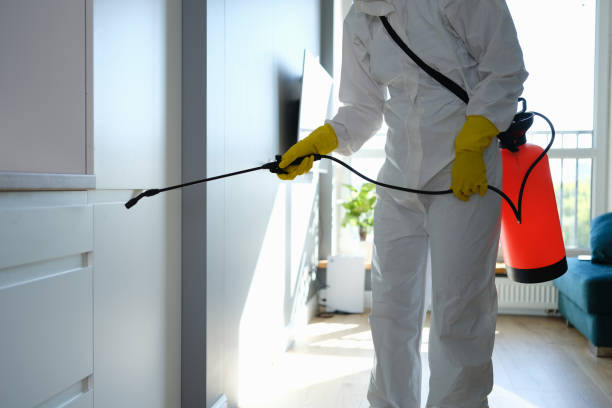 Best Toxic Mold Removal  in Montague, CA