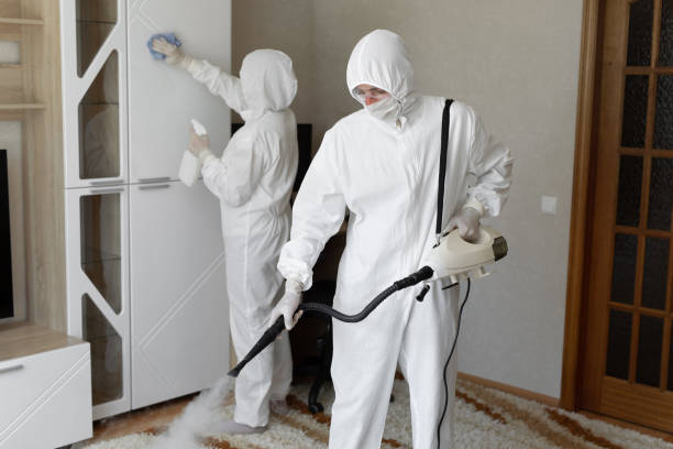 Best Same-Day Mold Removal  in Montague, CA