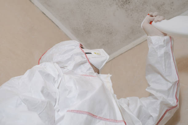 Best Certified Mold Removal  in Montague, CA